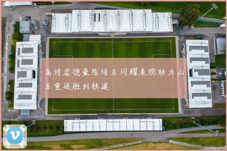 高诗岩德豪陈培东闪耀表现助力山东重返胜利轨道